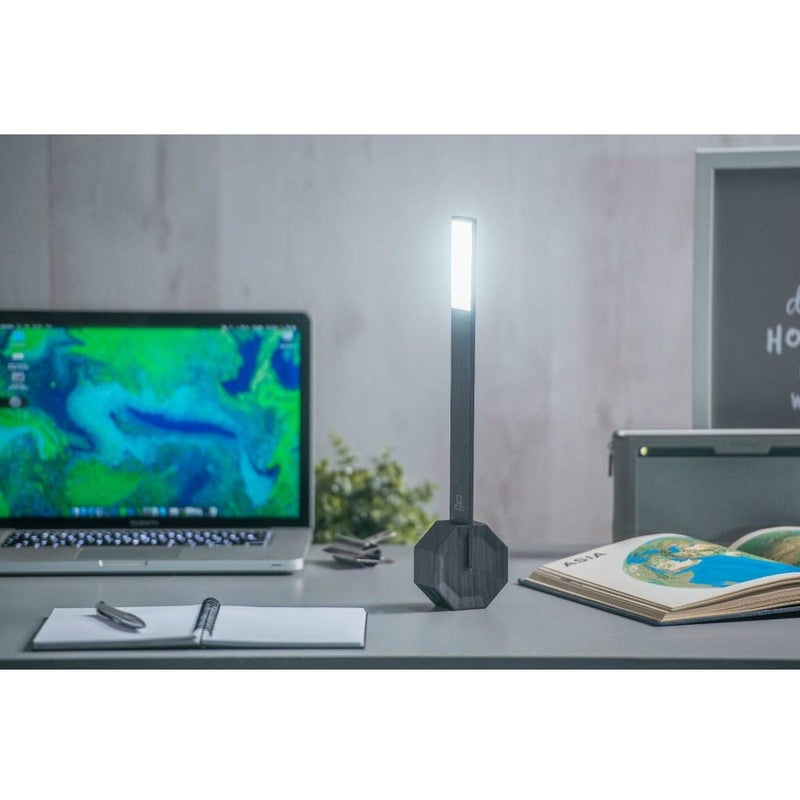 Gingko Octagon One Desk Lamp - Black, One Size - Image 4